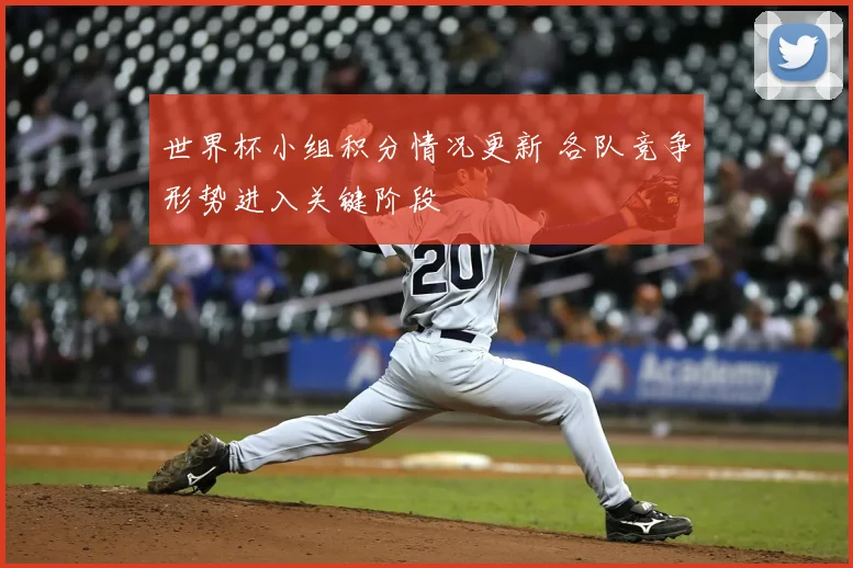 世界杯小组积分情况更新 各队竞争形势进入关键阶段
