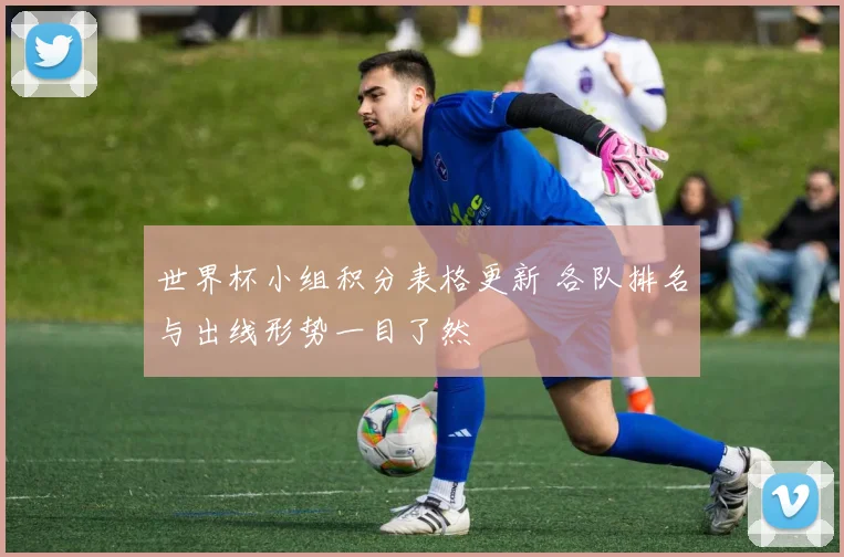 世界杯小组积分表格更新 各队排名与出线形势一目了然