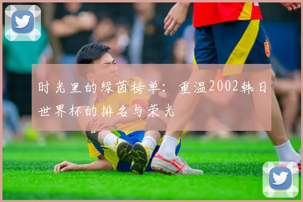 时光里的绿茵榜单：重温2002韩日世界杯的排名与荣光