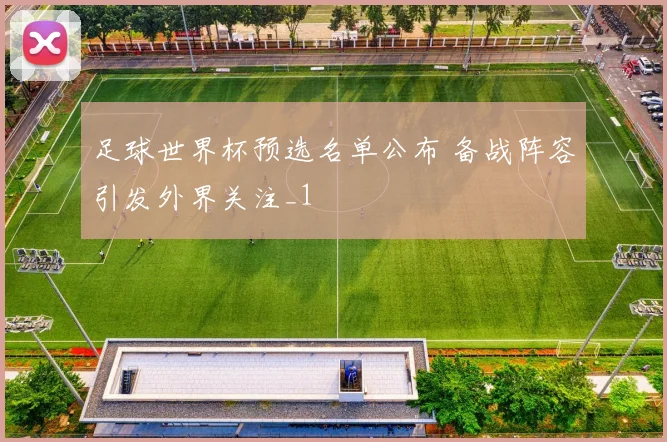 足球世界杯预选名单公布 备战阵容引发外界关注_1