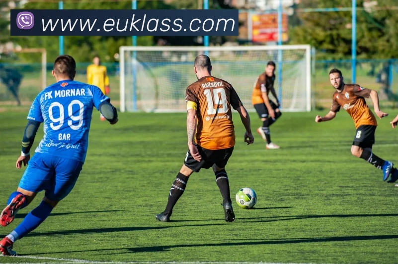 世界杯体育app官网服务体系